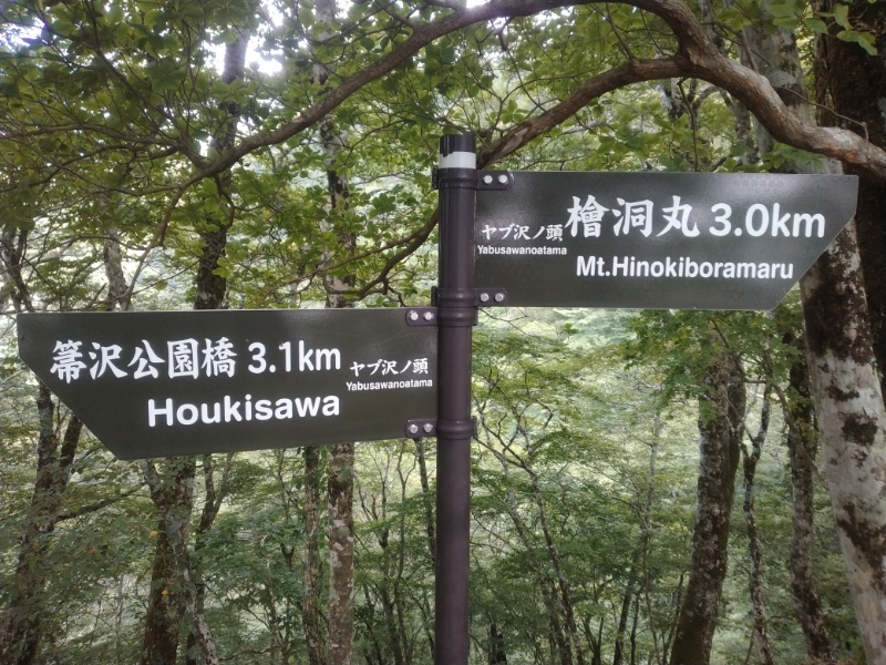 丹沢登山記録④箒沢公園橋～石棚山～檜洞丸 33