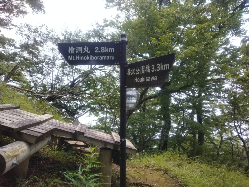 丹沢登山記録④箒沢公園橋～石棚山～檜洞丸 35