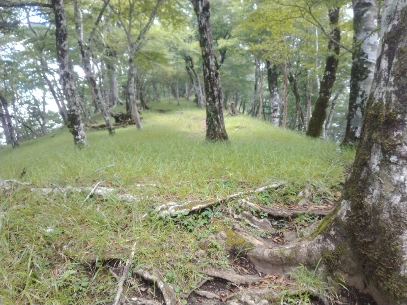 丹沢登山記録④箒沢公園橋～石棚山～檜洞丸 37