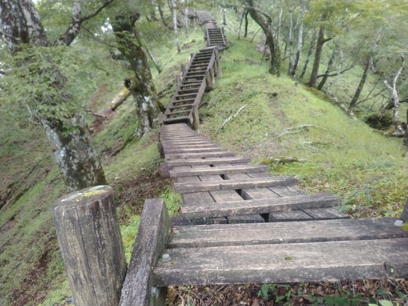 丹沢登山記録④箒沢公園橋～石棚山～檜洞丸 39