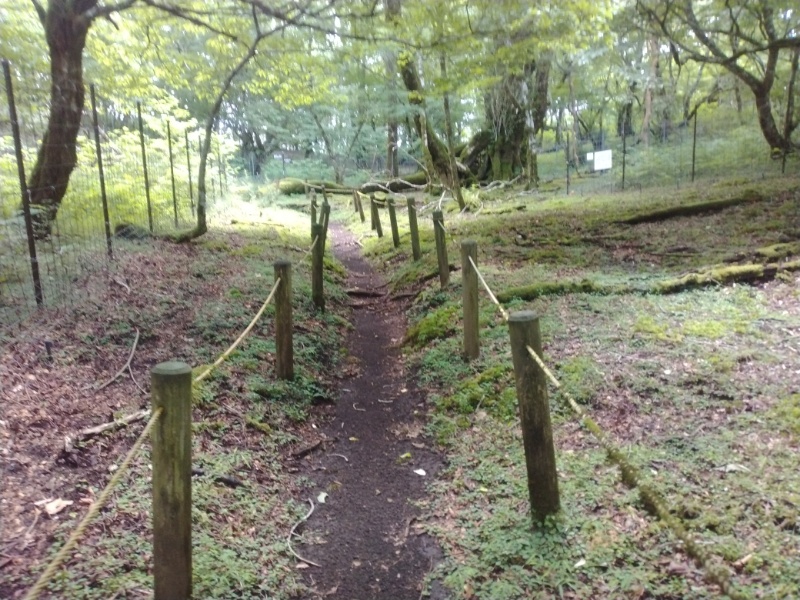 丹沢登山記録④箒沢公園橋～石棚山～檜洞丸 41