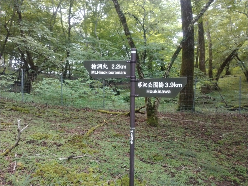 丹沢登山記録④箒沢公園橋～石棚山～檜洞丸 42