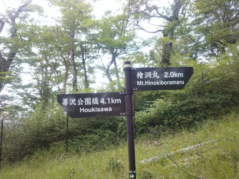 丹沢登山記録④箒沢公園橋～石棚山～檜洞丸 44