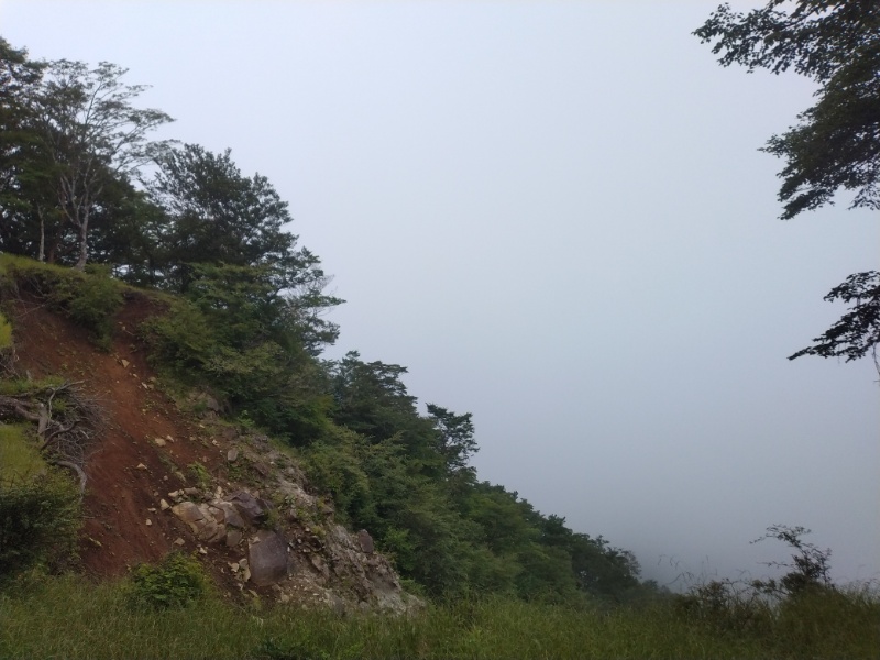 丹沢登山記録④箒沢公園橋～石棚山～檜洞丸 45