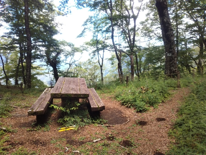 丹沢登山記録④箒沢公園橋～石棚山～檜洞丸 46