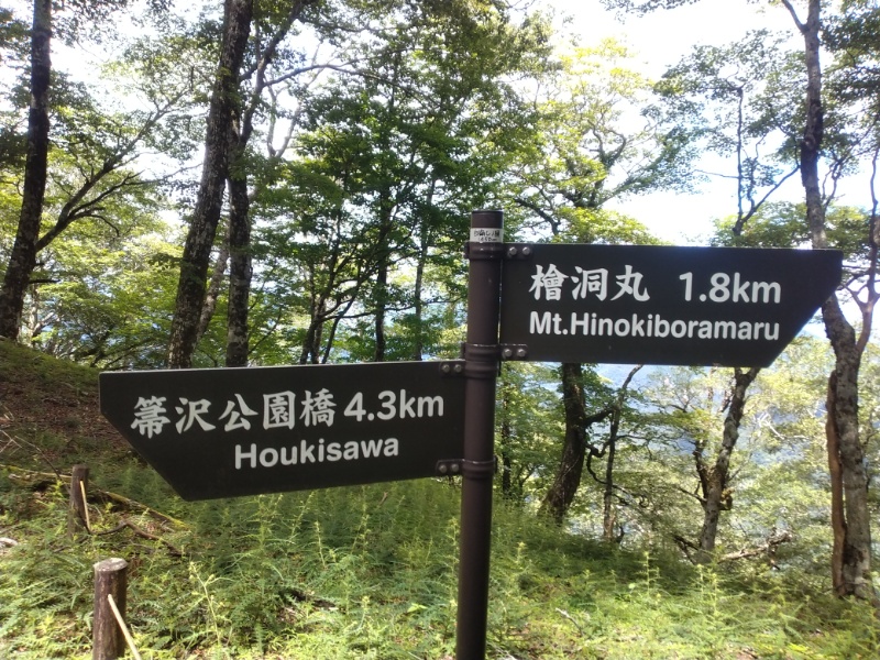 丹沢登山記録④箒沢公園橋～石棚山～檜洞丸 47