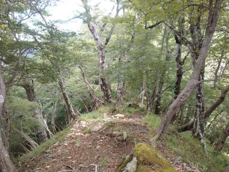 丹沢登山記録④箒沢公園橋～石棚山～檜洞丸 48