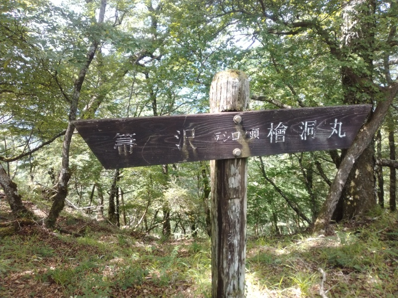 丹沢登山記録④箒沢公園橋～石棚山～檜洞丸 49