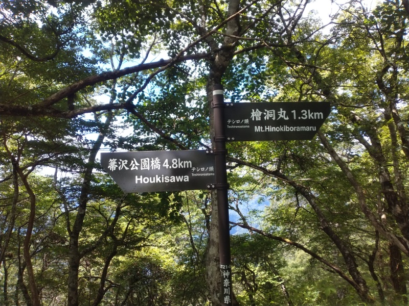 丹沢登山記録④箒沢公園橋～石棚山～檜洞丸 50