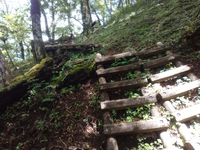 丹沢登山記録④箒沢公園橋～石棚山～檜洞丸 51