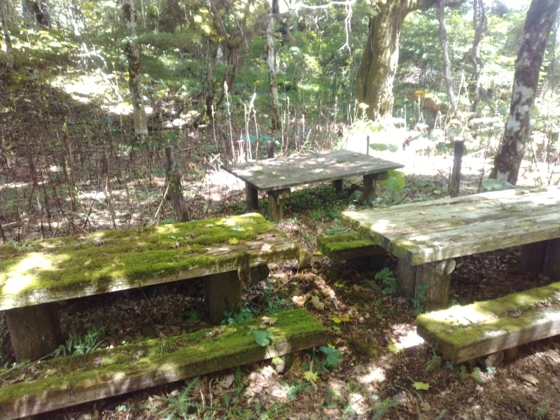 丹沢登山記録④箒沢公園橋～石棚山～檜洞丸 53