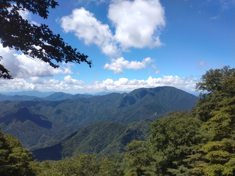 丹沢登山記録④箒沢公園橋～石棚山～檜洞丸 54