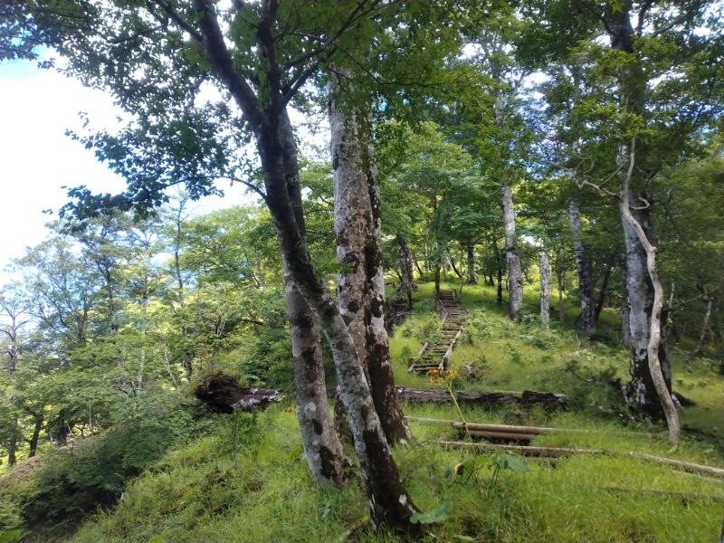 丹沢登山記録④箒沢公園橋～石棚山～檜洞丸 55