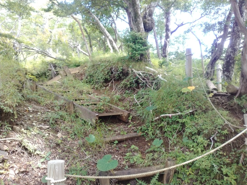 丹沢登山記録④箒沢公園橋～石棚山～檜洞丸 57