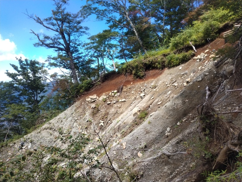 丹沢登山記録④箒沢公園橋～石棚山～檜洞丸 58