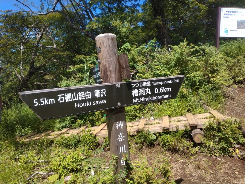 丹沢登山記録④箒沢公園橋～石棚山～檜洞丸 59