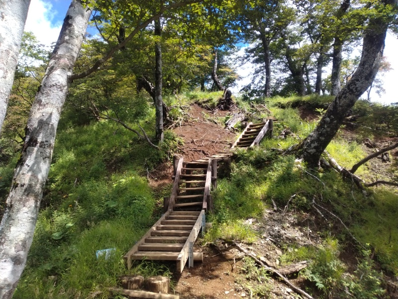 丹沢登山記録④箒沢公園橋～石棚山～檜洞丸 60