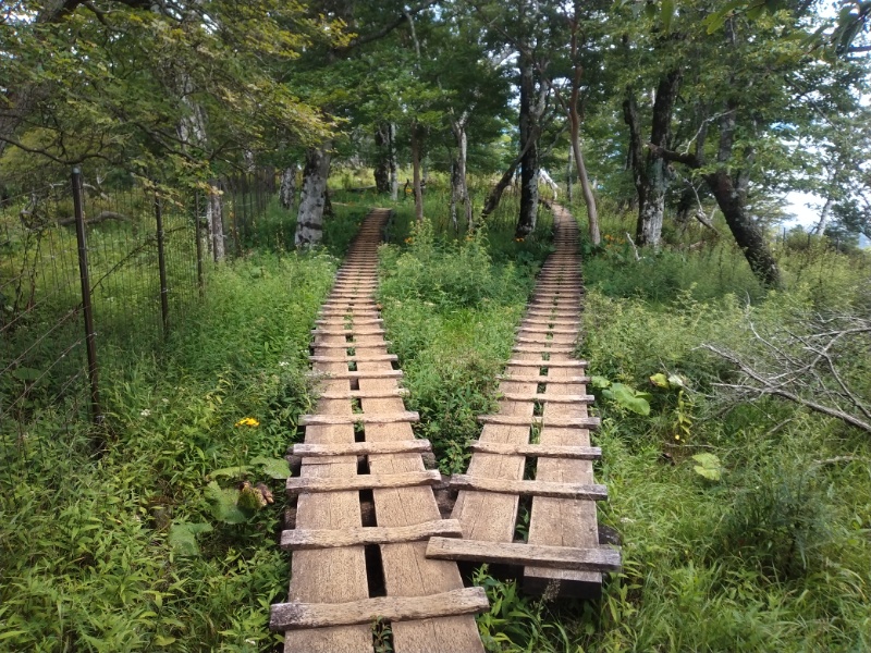 丹沢登山記録④箒沢公園橋～石棚山～檜洞丸 61