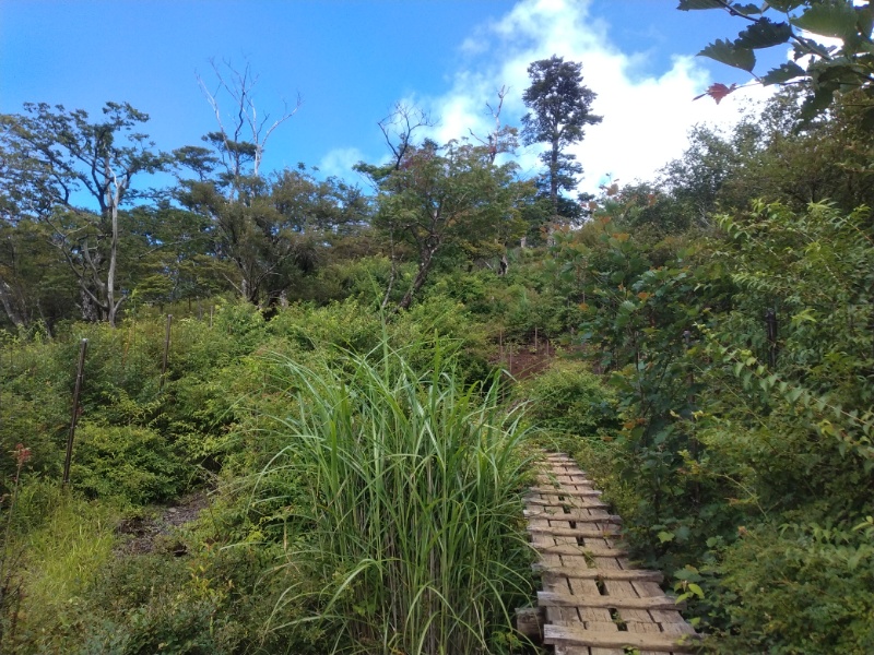 丹沢登山記録④箒沢公園橋～石棚山～檜洞丸 62