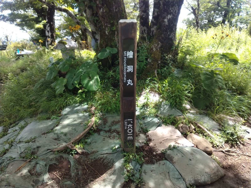 丹沢登山記録④箒沢公園橋～石棚山～檜洞丸 63