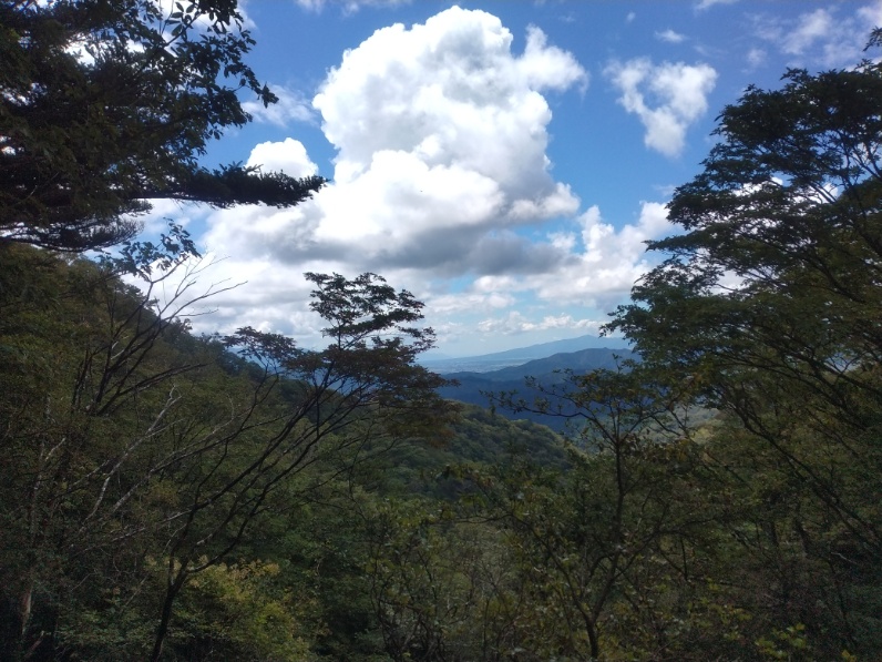 丹沢登山記録⑤大滝橋～畦ヶ丸避難小屋～城ヶ尾峠 6