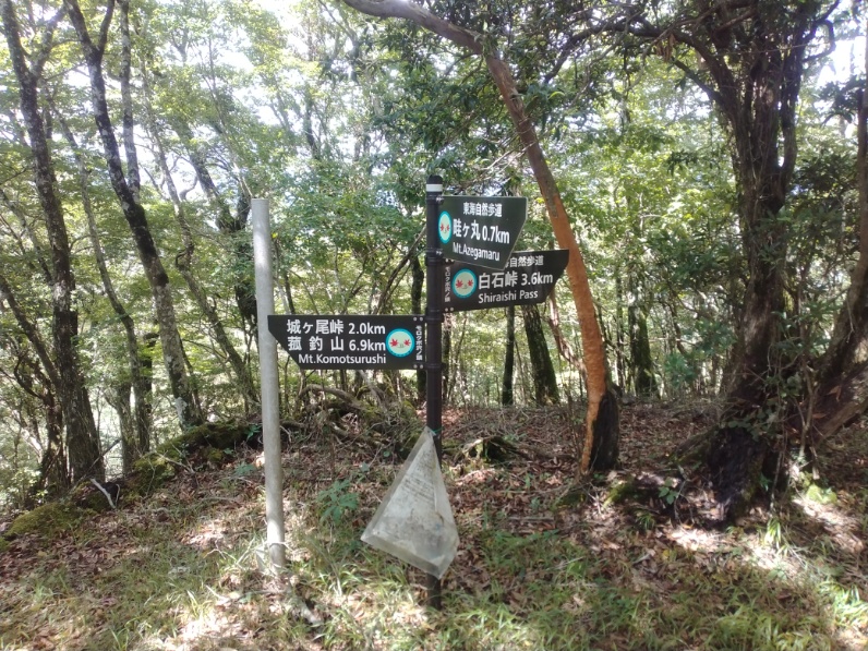 丹沢登山記録⑤大滝橋～畦ヶ丸避難小屋～城ヶ尾峠 7