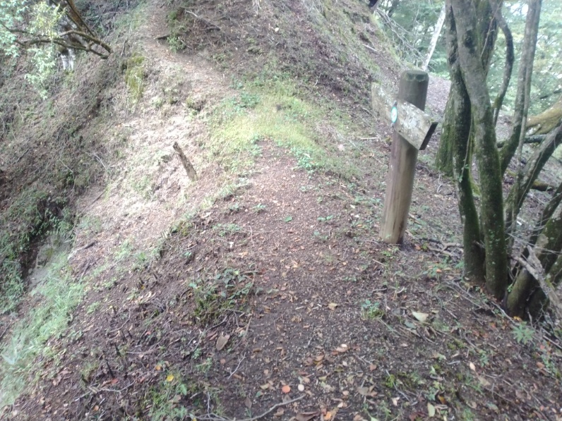 丹沢登山記録⑤大滝橋～畦ヶ丸避難小屋～城ヶ尾峠 8