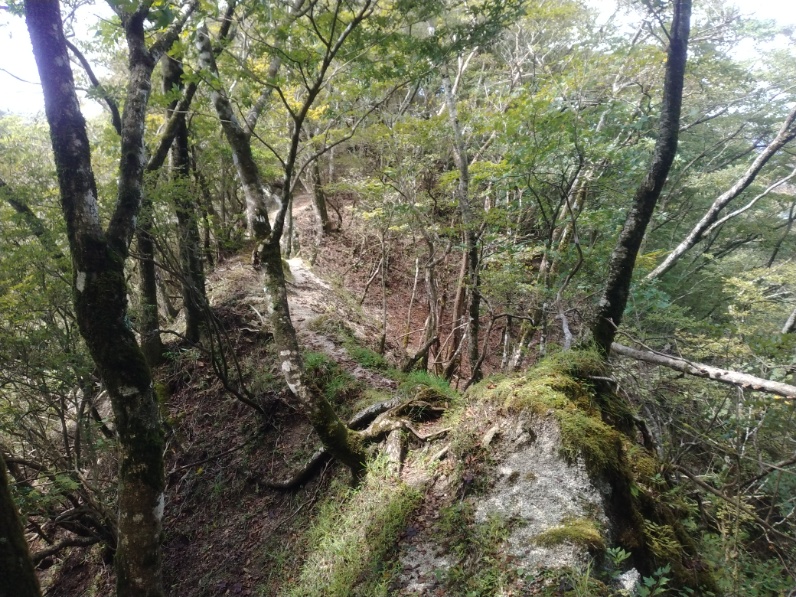 丹沢登山記録⑤大滝橋～畦ヶ丸避難小屋～城ヶ尾峠 11