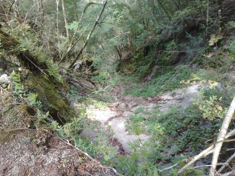 丹沢登山記録⑤大滝橋～畦ヶ丸避難小屋～城ヶ尾峠 12