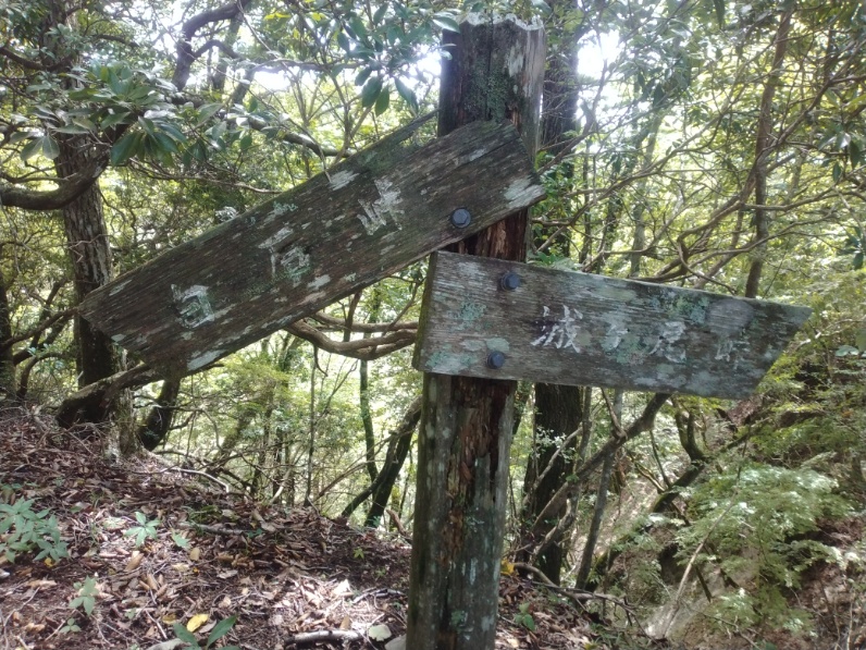 丹沢登山記録⑤大滝橋～畦ヶ丸避難小屋～城ヶ尾峠 14