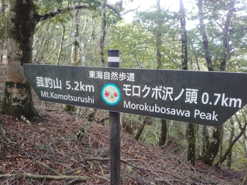 丹沢登山記録⑤大滝橋～畦ヶ丸避難小屋～城ヶ尾峠 15