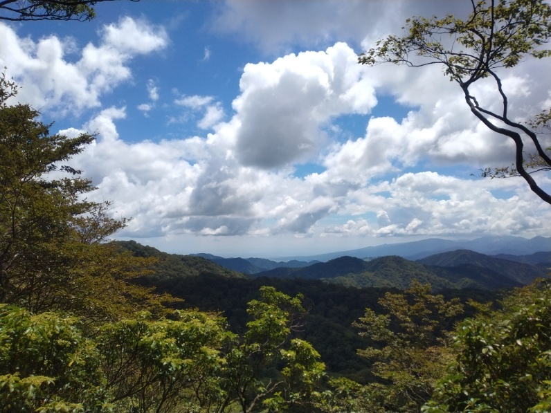 丹沢登山記録⑤大滝橋～畦ヶ丸避難小屋～城ヶ尾峠 16