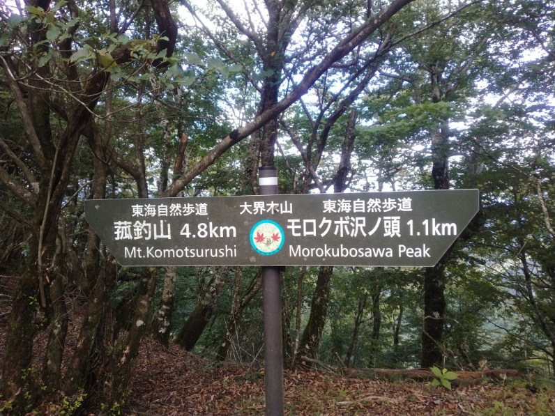 丹沢登山記録⑤大滝橋～畦ヶ丸避難小屋～城ヶ尾峠 18