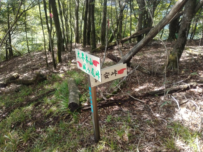 丹沢登山記録⑤大滝橋～畦ヶ丸避難小屋～城ヶ尾峠 20