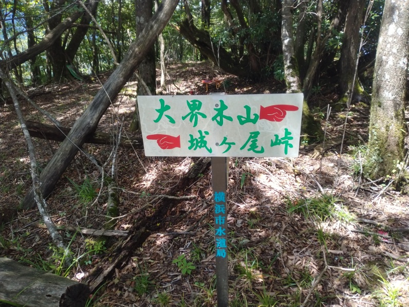 丹沢登山記録⑤大滝橋～畦ヶ丸避難小屋～城ヶ尾峠 21