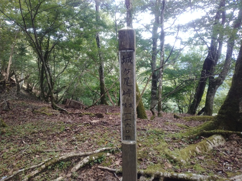 丹沢登山記録⑤大滝橋～畦ヶ丸避難小屋～城ヶ尾峠 24