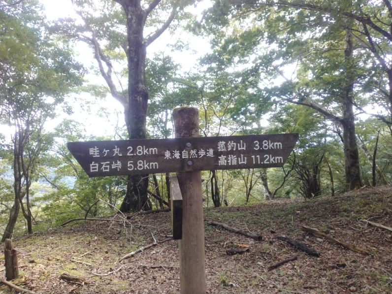 丹沢登山記録⑤大滝橋～畦ヶ丸避難小屋～城ヶ尾峠 25